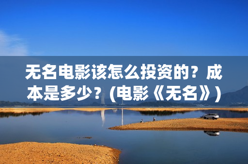 无名电影该怎么投资的？成本是多少？(电影《无名》)