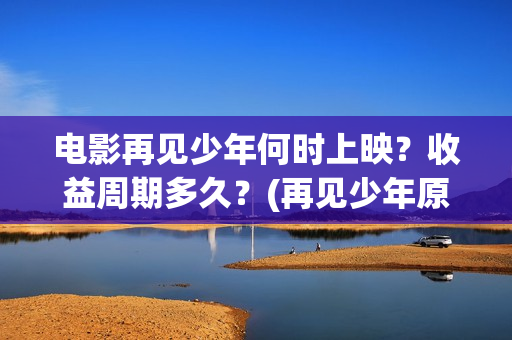 电影再见少年何时上映？收益周期多久？(再见少年原名)