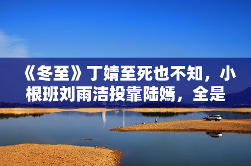 《冬至》丁婧至死也不知，小根班刘雨洁投靠陆嫣，全是文鹏的主意