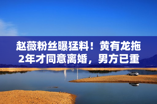 赵薇粉丝曝猛料！黄有龙拖2年才同意离婚，男方已重组家庭