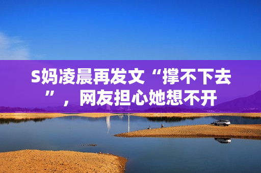 S妈凌晨再发文“撑不下去”，网友担心她想不开