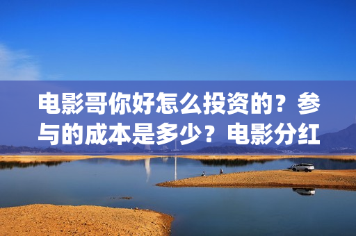 电影哥你好怎么投资的？参与的成本是多少？电影分红快吗？(你好哥哥语音)