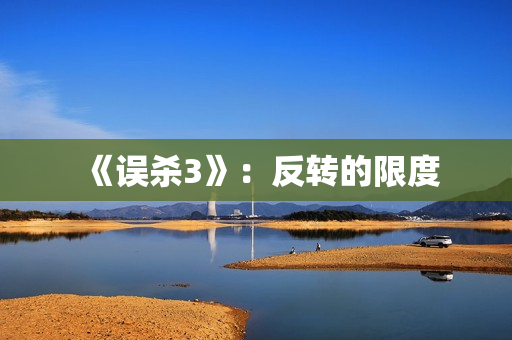 《误杀3》：反转的限度