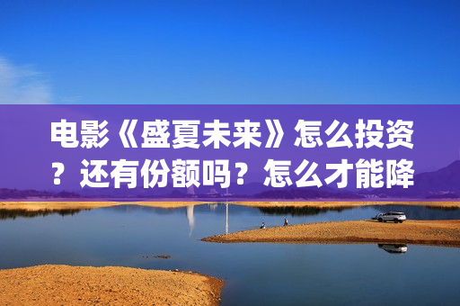 电影《盛夏未来》怎么投资？还有份额吗？怎么才能降低风险？(盛夏未来正片)