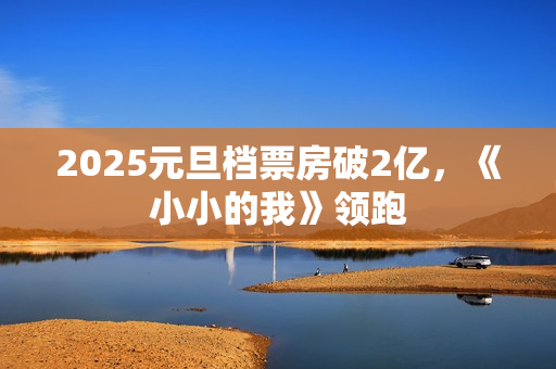 2025元旦档票房破2亿，《小小的我》领跑