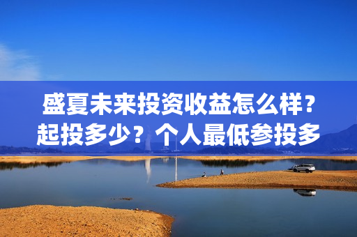 盛夏未来投资收益怎么样？起投多少？个人最低参投多少？(盛夏未来总投资)
