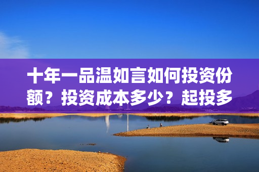 十年一品温如言如何投资份额？投资成本多少？起投多少？(十年一品温如言小说)