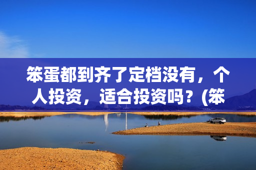 笨蛋都到齐了定档没有，个人投资，适合投资吗？(笨蛋下一句)