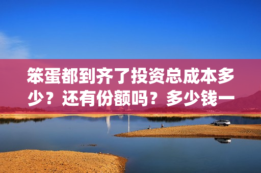 笨蛋都到齐了投资总成本多少？还有份额吗？多少钱一份？(笨蛋idiot)