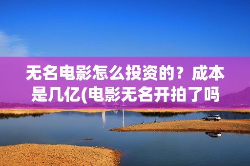 无名电影怎么投资的？成本是几亿(电影无名开拍了吗)