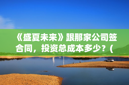 《盛夏未来》跟那家公司签合同，投资总成本多少？(盛夏未来同款)