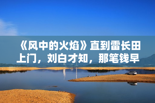 《风中的火焰》直到雷长田上门，刘白才知，那笔钱早已被梅苇拿走
