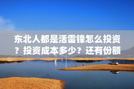 东北人都是活雷锋怎么投资？投资成本多少？还有份额吗(东北人都是活雷锋是哪年的歌)