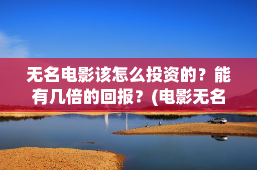 无名电影该怎么投资的？能有几倍的回报？(电影无名剧情介绍)
