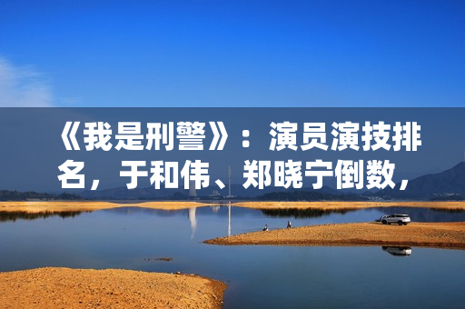 《我是刑警》：演员演技排名，于和伟、郑晓宁倒数，马苏巧夺第一