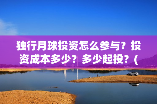 独行月球投资怎么参与？投资成本多少？多少起投？(独行月球票房预测)