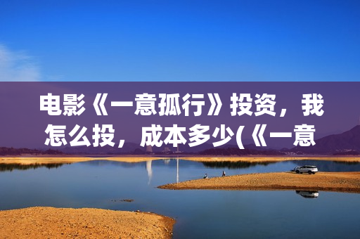 电影《一意孤行》投资，我怎么投，成本多少(《一意孤行》)