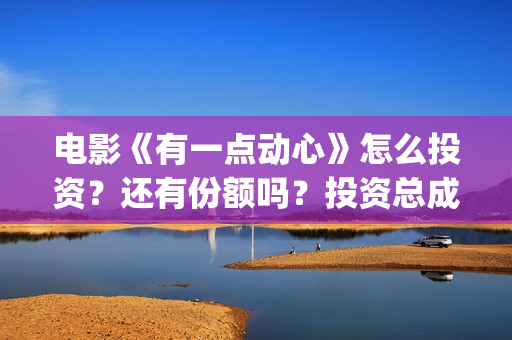 电影《有一点动心》怎么投资？还有份额吗？投资总成本多少？(电影有一点动心简介)