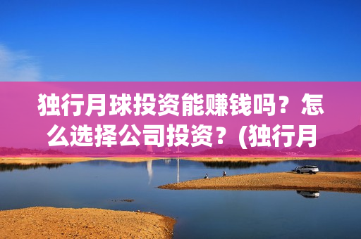 独行月球投资能赚钱吗？怎么选择公司投资？(独行月球投资方)