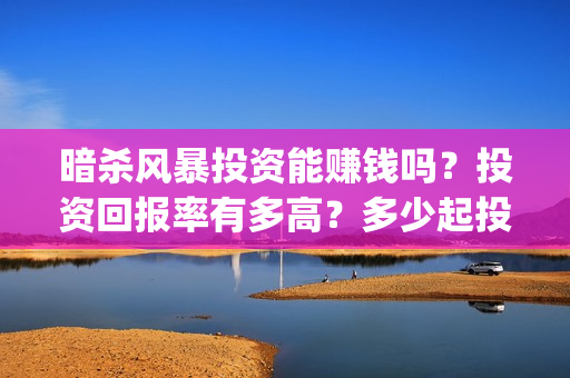 暗杀风暴投资能赚钱吗？投资回报率有多高？多少起投(暗杀风暴百科)