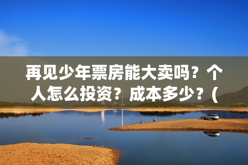 再见少年票房能大卖吗？个人怎么投资？成本多少？(再见少年电影票房)