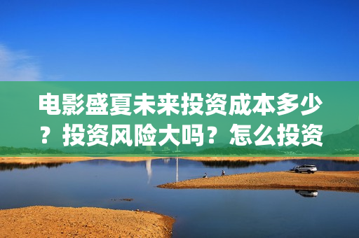 电影盛夏未来投资成本多少？投资风险大吗？怎么投资？(盛夏未来 电影简介)