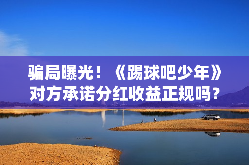 骗局曝光！《踢球吧少年》对方承诺分红收益正规吗？交钱进去被骗怎么办？(网络用语踢是什么意思)