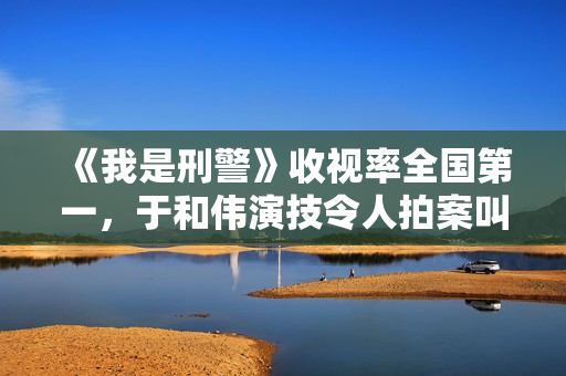 《我是刑警》收视率全国第一，于和伟演技令人拍案叫绝