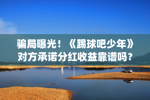 骗局曝光！《踢球吧少年》对方承诺分红收益靠谱吗？已经合同认购可以追回吗？(踢踹要害)