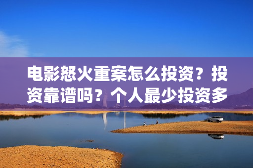 电影怒火重案怎么投资？投资靠谱吗？个人最少投资多少？(电影 怒火重案)
