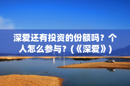 深爱还有投资的份额吗？个人怎么参与？(《深爱》)