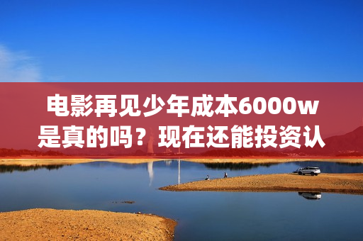 电影再见少年成本6000w是真的吗？现在还能投资认购份额吗？(电影《再见少年》)