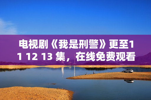 电视剧《我是刑警》更至11 12 13 集，在线免费观看（ 附资源）