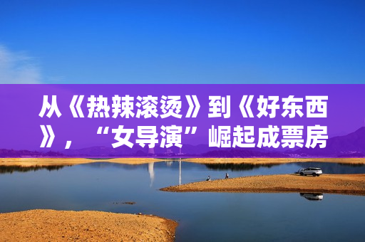 从《热辣滚烫》到《好东西》，“女导演”崛起成票房流量保证？