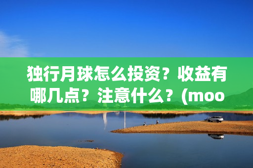 独行月球怎么投资？收益有哪几点？注意什么？(moonyou-独行月球)