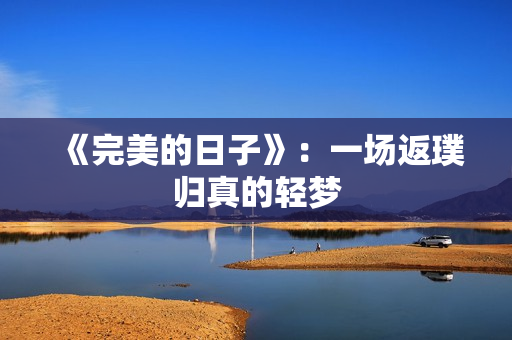《完美的日子》：一场返璞归真的轻梦