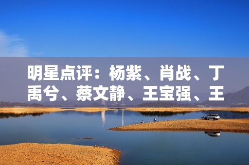 明星点评：杨紫、肖战、丁禹兮、蔡文静、王宝强、王鹤棣