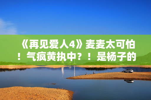 《再见爱人4》麦麦太可怕！气疯黄执中？！是杨子的“救世主”！