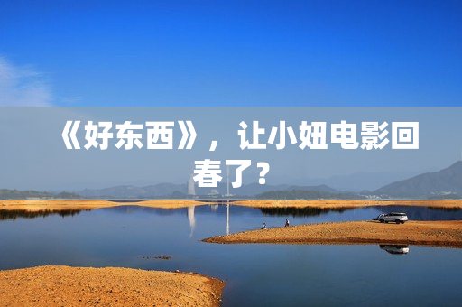 《好东西》，让小妞电影回春了？