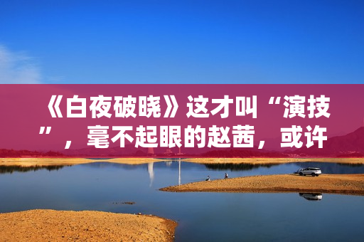 《白夜破晓》这才叫“演技”，毫不起眼的赵茜，或许才是最有戏的