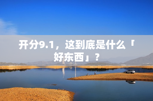 开分9.1，这到底是什么「好东西」？