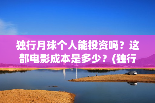 独行月球个人能投资吗？这部电影成本是多少？(独行月球制片人)