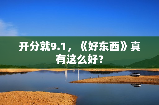 开分就9.1，《好东西》真有这么好？