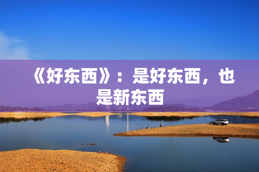 《好东西》：是好东西，也是新东西