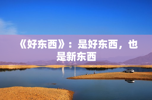 《好东西》：是好东西，也是新东西