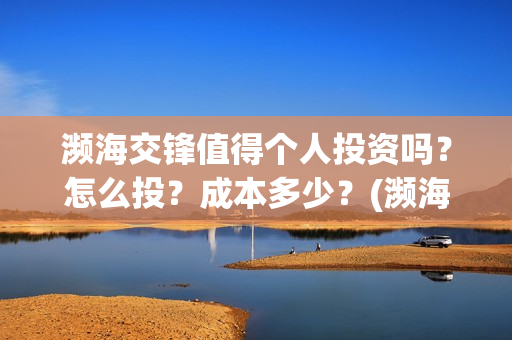 濒海交锋值得个人投资吗？怎么投？成本多少？(濒海交锋怎么没有营销)