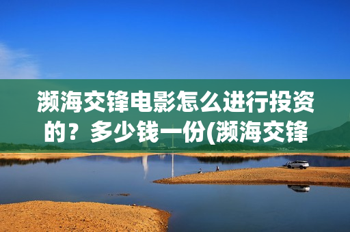 濒海交锋电影怎么进行投资的？多少钱一份(濒海交锋电影怎么样)