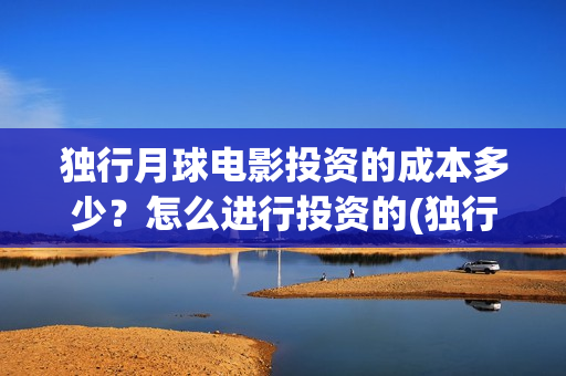 独行月球电影投资的成本多少？怎么进行投资的(独行月球电影投资多少钱)