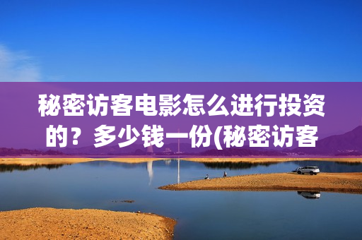 秘密访客电影怎么进行投资的？多少钱一份(秘密访客 hd)