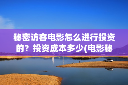 秘密访客电影怎么进行投资的？投资成本多少(电影秘密访客视频)